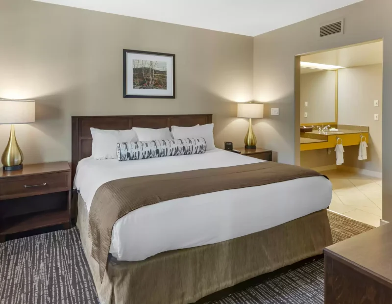 Carriage Ridge Resort One queen bed suite and washroom